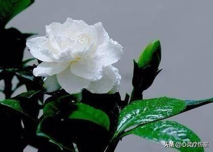 一言不合就怼ta的句子