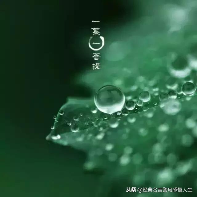 人无完人,请互相包容