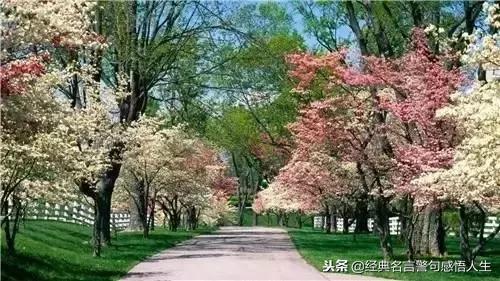 人无完人,请互相包容