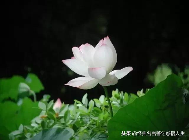 人无完人,请互相包容