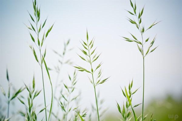 让人膜拜的18句霸气说说,句句不矫情,发朋友圈超赞!