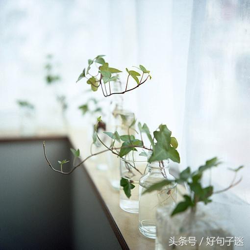看淡人生的句子,句句霸气经典,总结得太精辟了!