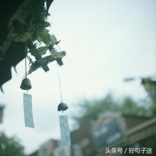 看淡人生的句子,句句霸气经典,总结得太精辟了!