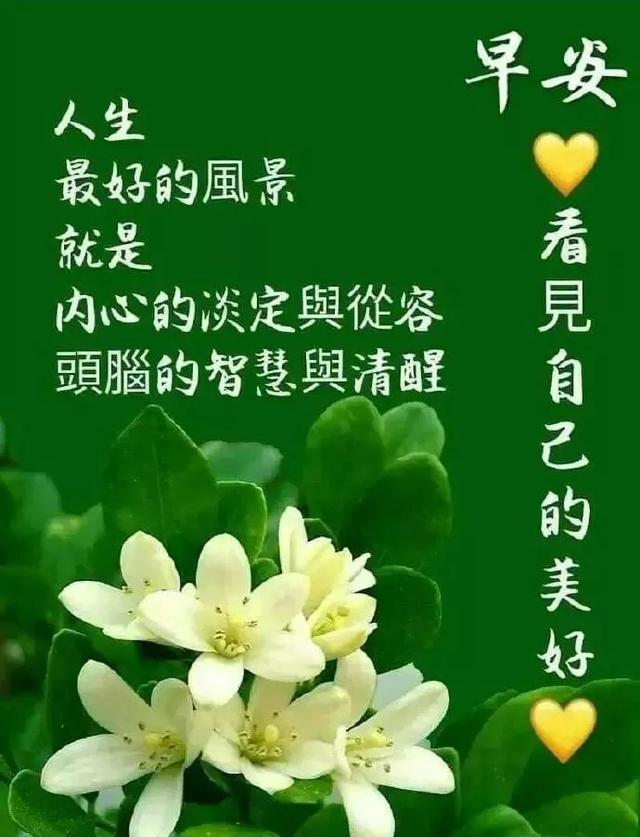 觅觅的唯美句子(寻寻觅觅情感)