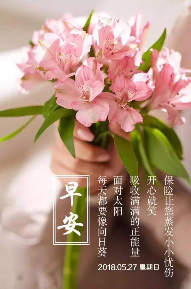 坚持努力，再创辉煌