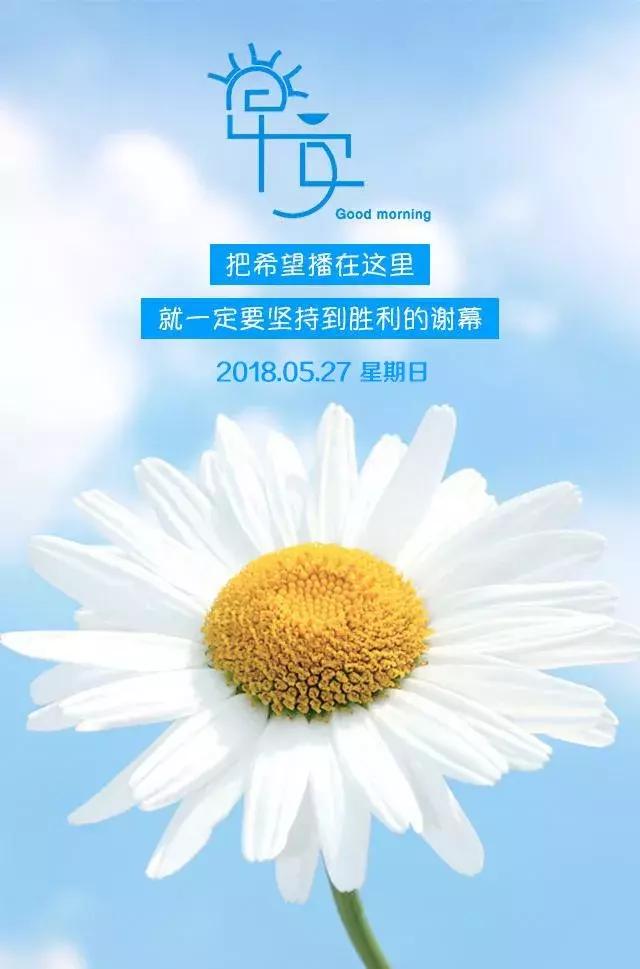 坚持努力，再创辉煌