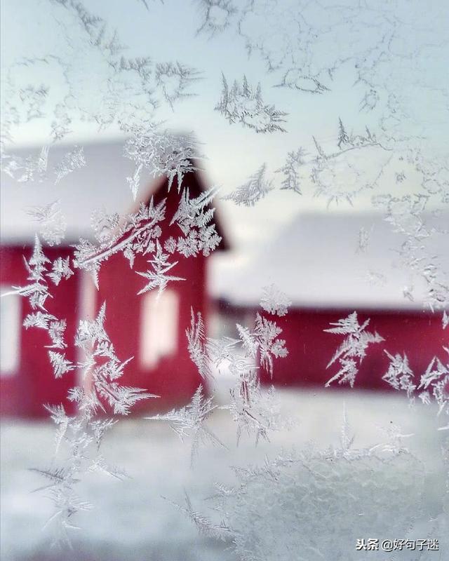 关于下雪的唯美句子,沁人心脾,让人一看就爱上了!