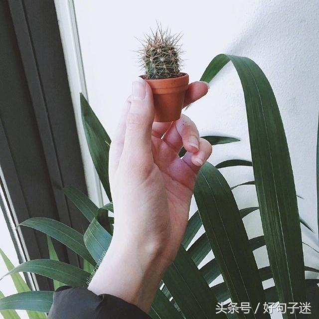 读起来让你心碎的唯美说说短语,句句虐心,让人痛哭流涕!