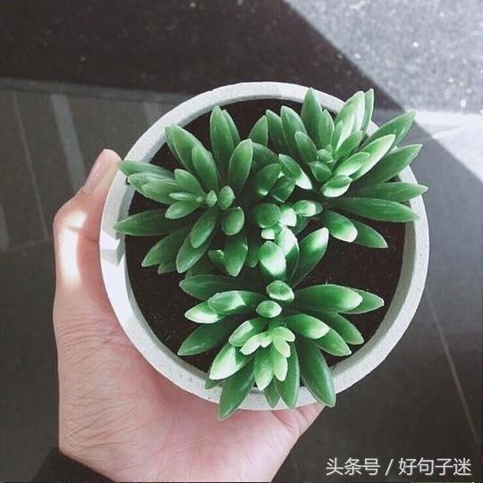 读起来让你心碎的唯美说说短语,句句虐心,让人痛哭流涕!