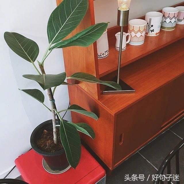 读起来让你心碎的唯美说说短语,句句虐心,让人痛哭流涕!