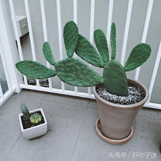 读起来让你心碎的唯美说说短语,句句虐心,让人痛哭流涕!