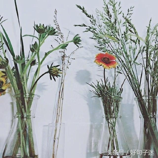 读起来让你心碎的唯美说说短语,句句虐心,让人痛哭流涕!