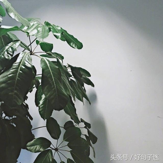 读起来让你心碎的唯美说说短语,句句虐心,让人痛哭流涕!