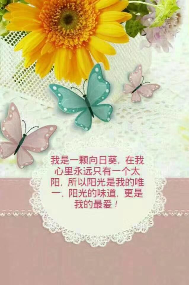 关于时间的唯美句子,无与伦比,温柔了岁月