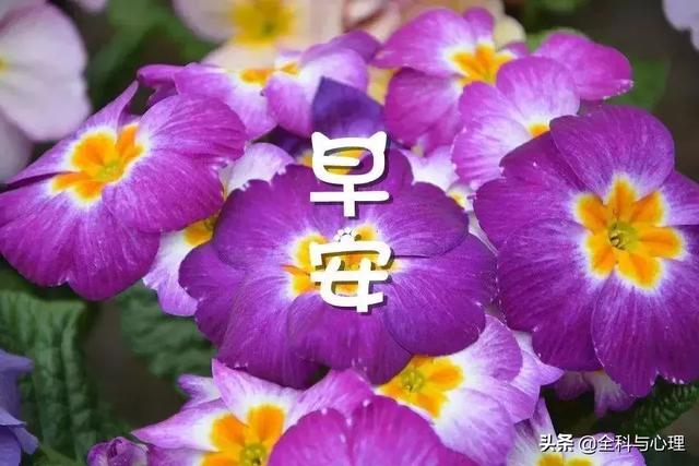 早安优美的心灵鸡汤经典语录 唯美温馨的早安心语