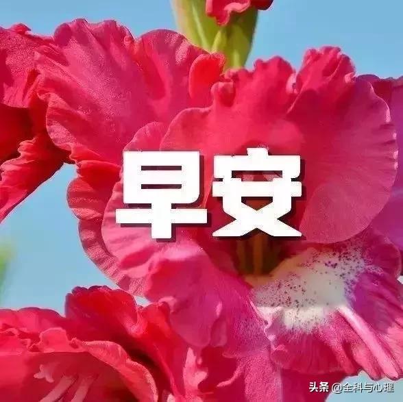 早安优美的心灵鸡汤经典语录 唯美温馨的早安心语