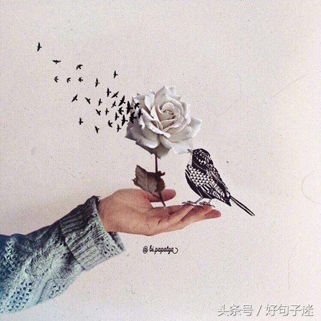 很有道理的短句子,唯美又有哲理,一句比一句精辟!