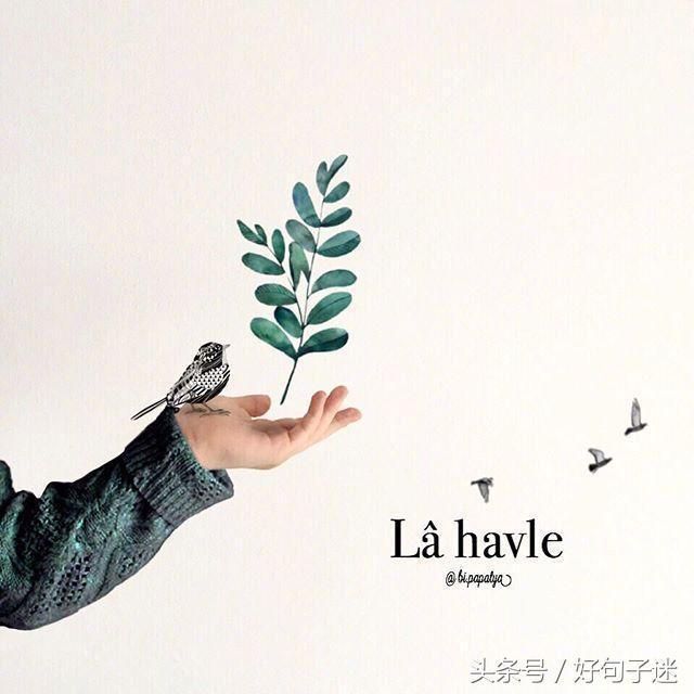 很有道理的短句子,唯美又有哲理,一句比一句精辟!