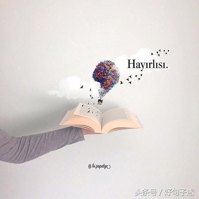 很有道理的短句子,唯美又有哲理,一句比一句精辟!