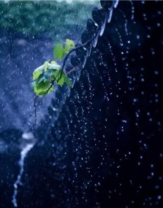 「诗词鉴赏」在夏日中听雨,唯美一段又一段的时光