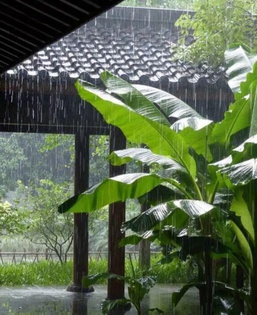 「诗词鉴赏」在夏日中听雨,唯美一段又一段的时光