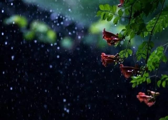 「诗词鉴赏」在夏日中听雨,唯美一段又一段的时光