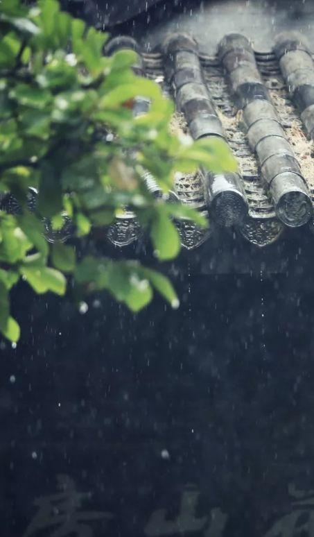 「诗词鉴赏」在夏日中听雨,唯美一段又一段的时光