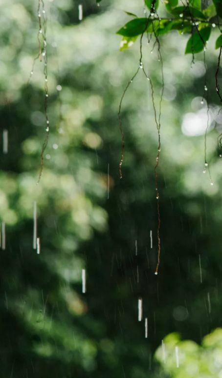 「诗词鉴赏」在夏日中听雨,唯美一段又一段的时光