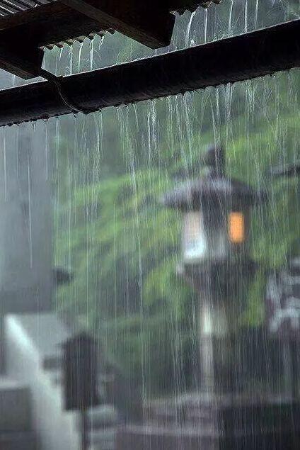 「诗词鉴赏」在夏日中听雨,唯美一段又一段的时光
