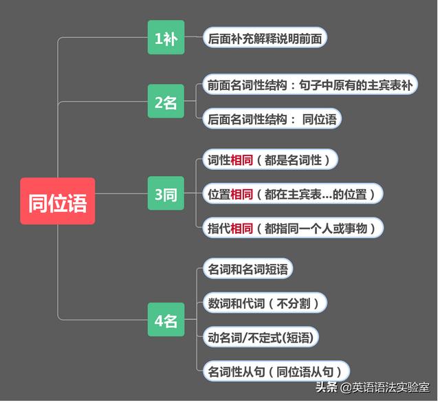 句子成分不只主谓宾定状补,1张图帮你彻底搞懂同位语