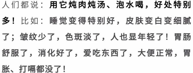 强身健体的句子唯美简短(古人强身健体的名言)