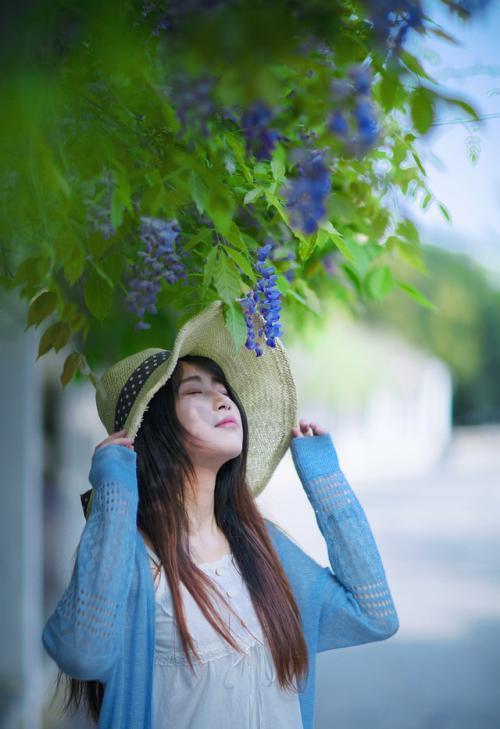 一花一世界,一叶一菩提——奇花异草多花紫藤,花语传说优美句子
