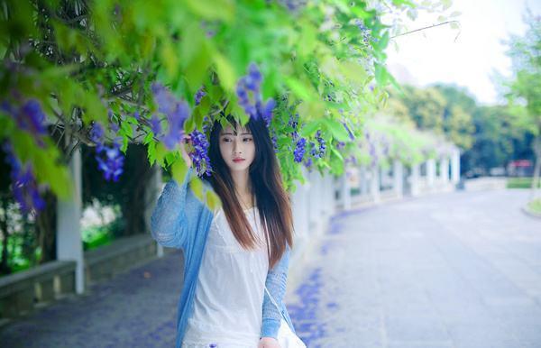 一花一世界,一叶一菩提——奇花异草多花紫藤,花语传说优美句子
