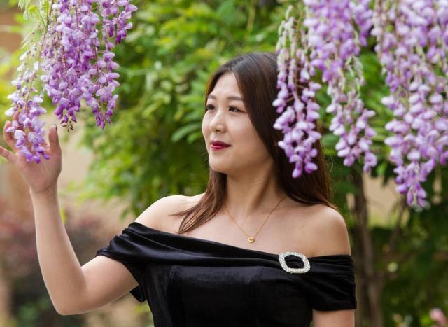 一花一世界,一叶一菩提——奇花异草多花紫藤,花语传说优美句子