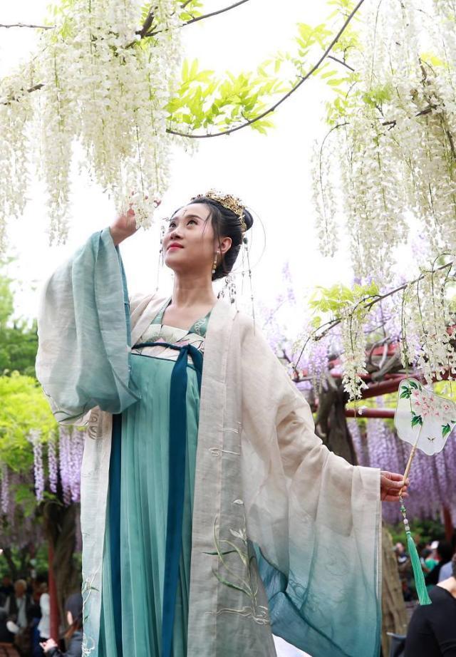 一花一世界,一叶一菩提——奇花异草多花紫藤,花语传说优美句子