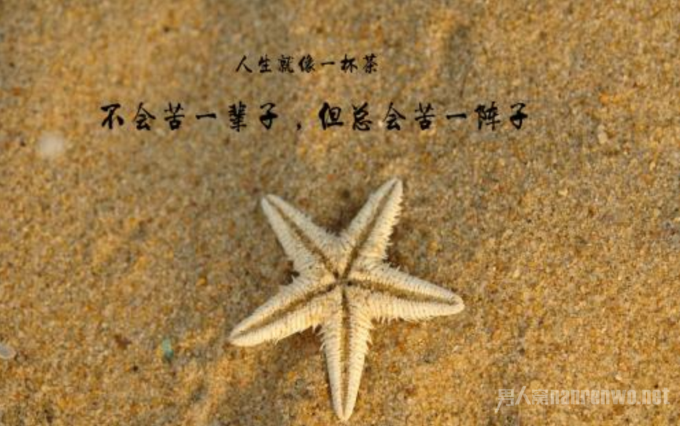 人生感悟的句子心情说说_(每天保持好心态的说说)