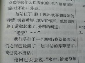 形容手鼓的唯美句子(赞美舞蹈的唯美句子)