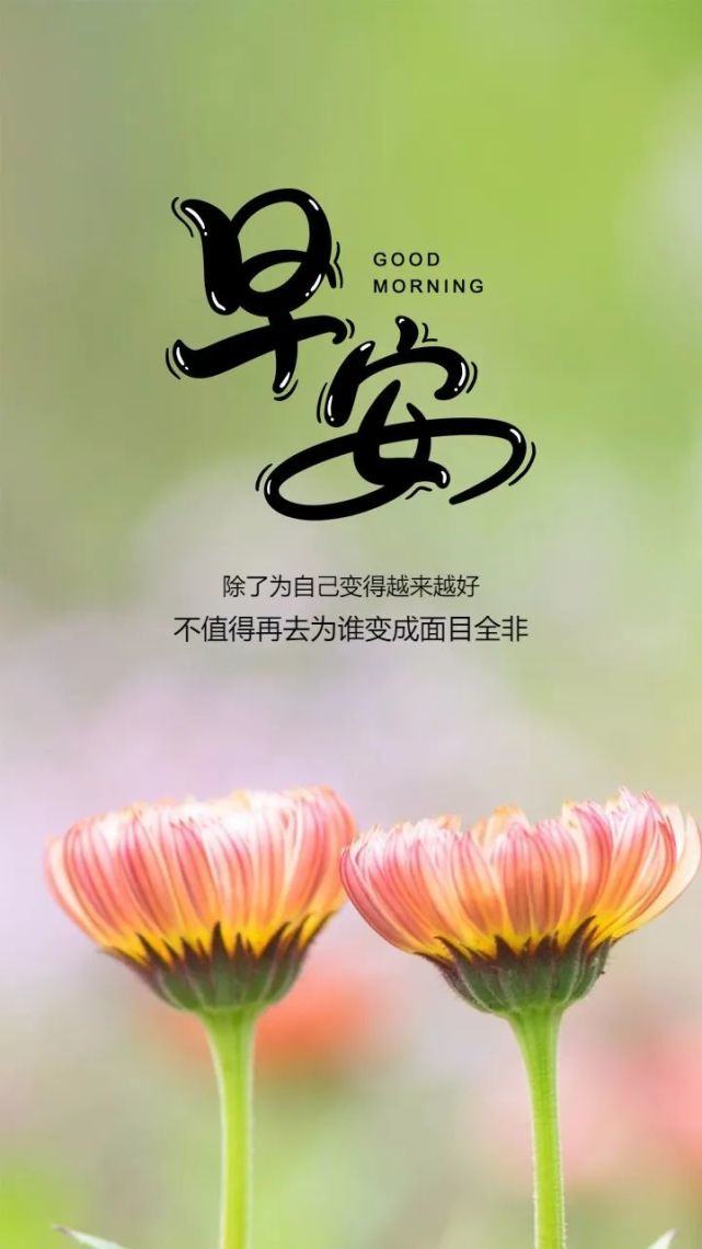7个字的霸气句子(七字励志短句)