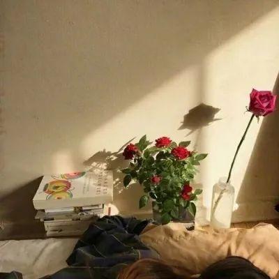 唯美句子摘抄书籍语录 唯美句子摘抄书籍语录