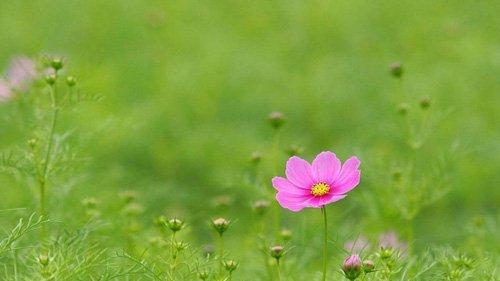 季节的句子唯美(友情的句子唯美简短)