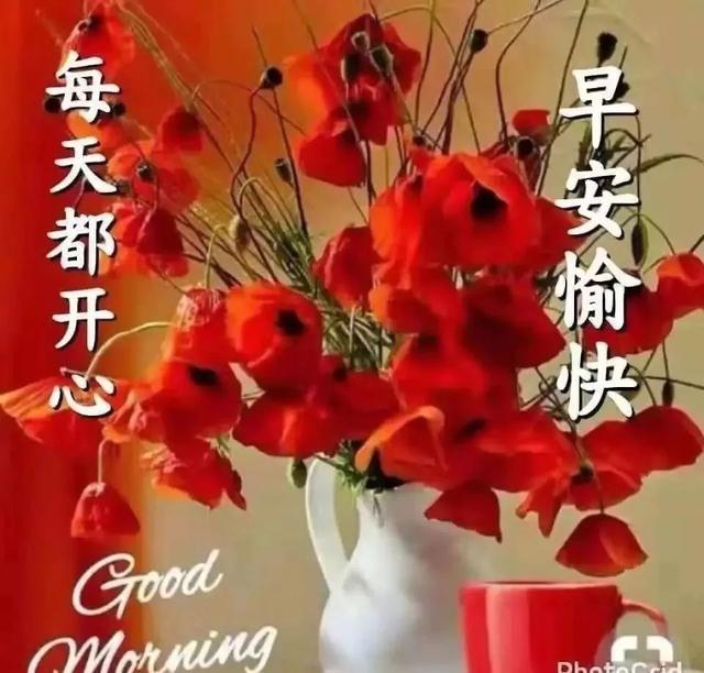 好梦的句子唯美短句(6字唯美短句)