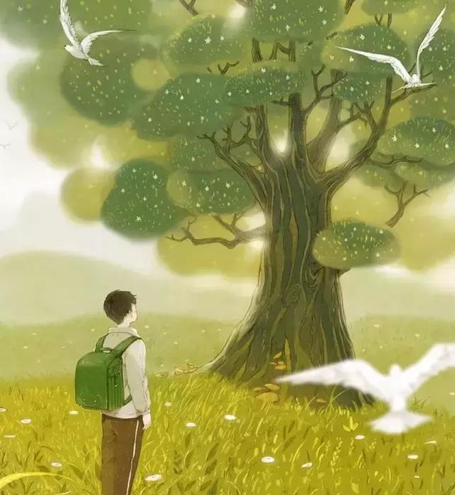和孩子成长唯美的句子(父母对孩子的简短寄语)