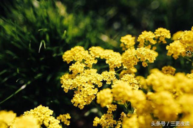 非常经典的句子:累时歇一歇,烦时静一静,急时缓一缓