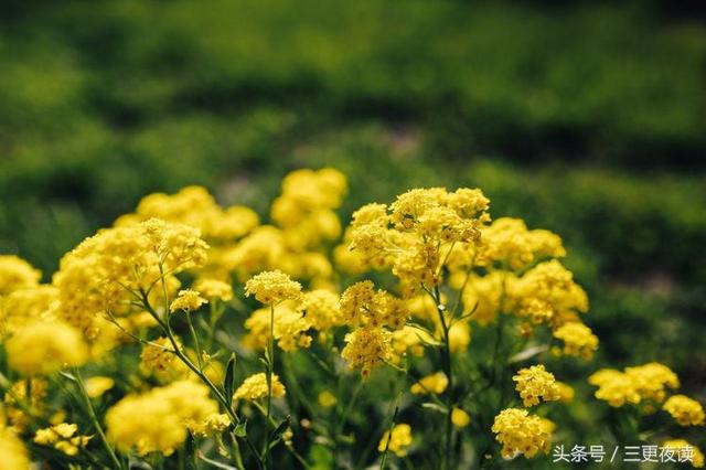 非常经典的句子:累时歇一歇,烦时静一静,急时缓一缓
