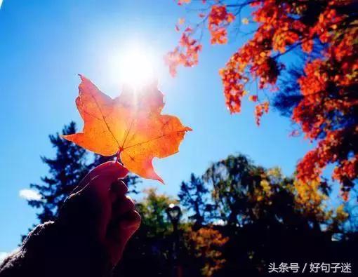 唯美伤感的爱情语录短句,句句让人心疼!