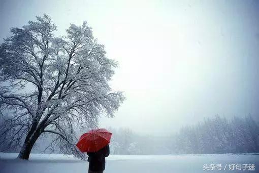 唯美伤感的爱情语录短句,句句让人心疼!