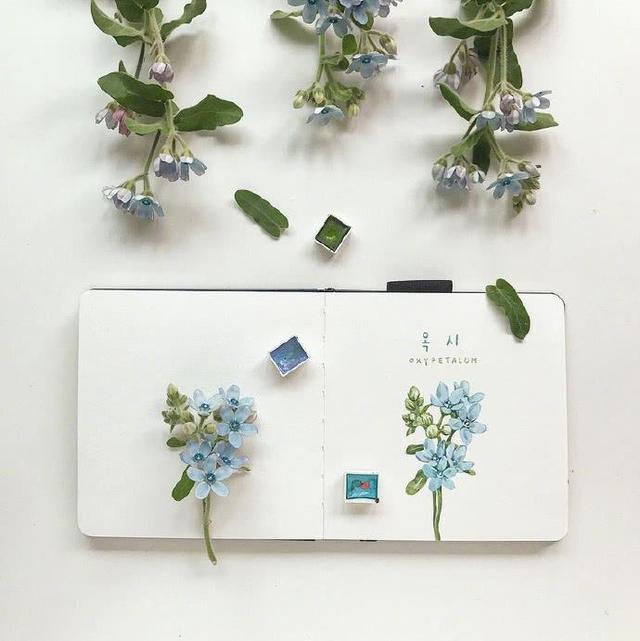让人心情舒畅的句子,唯美走心,温柔了岁月