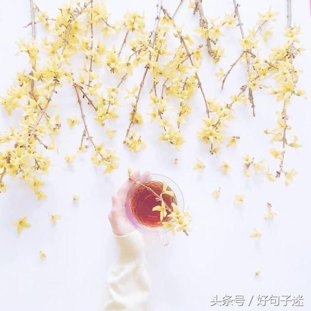 唯美说说文字控带图片,总有一句触动你!
