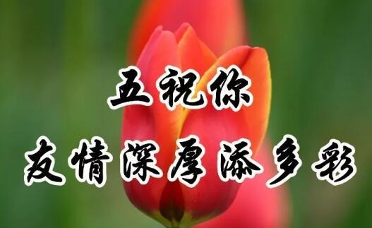 九九重阳节！最美好的重阳祝福送给家人，祝福天下父母健康长寿！