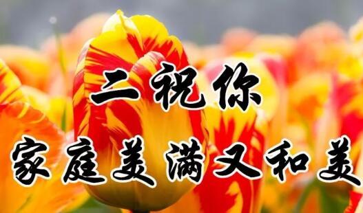 九九重阳节！最美好的重阳祝福送给家人，祝福天下父母健康长寿！